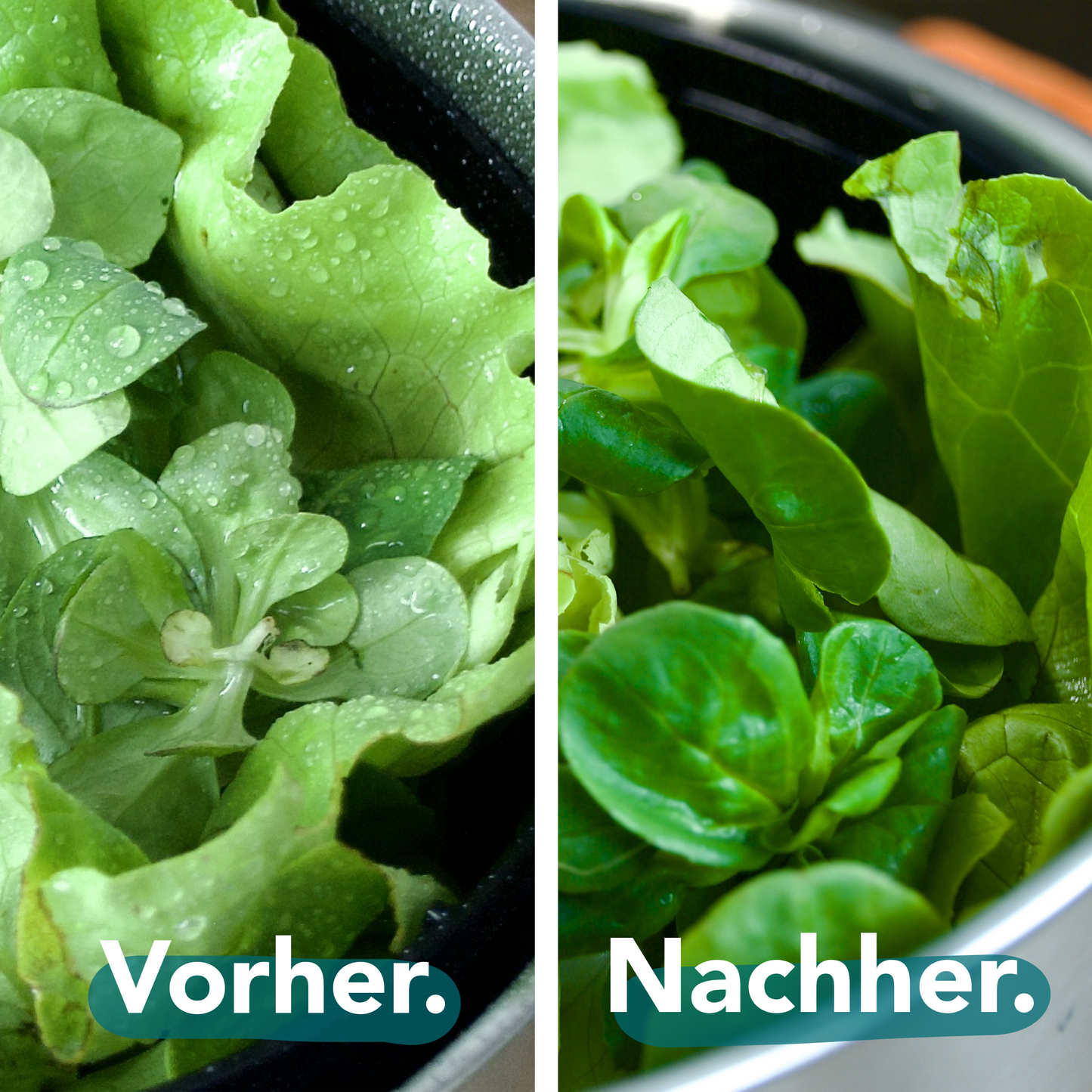 Salatschleuder Edelstahl mit Gemüsehobel